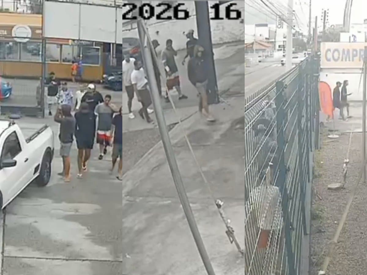 Vídeo mostra arrastão de criminosos em revenda de Florianópolis: “levaram 11 carros”