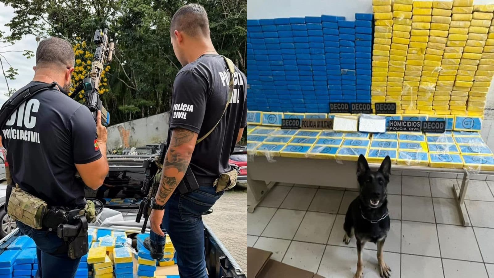 Golpe milionário: DECOD apreende cocaína e causa prejuízo de R$ 10 milhões ao tráfico em SC