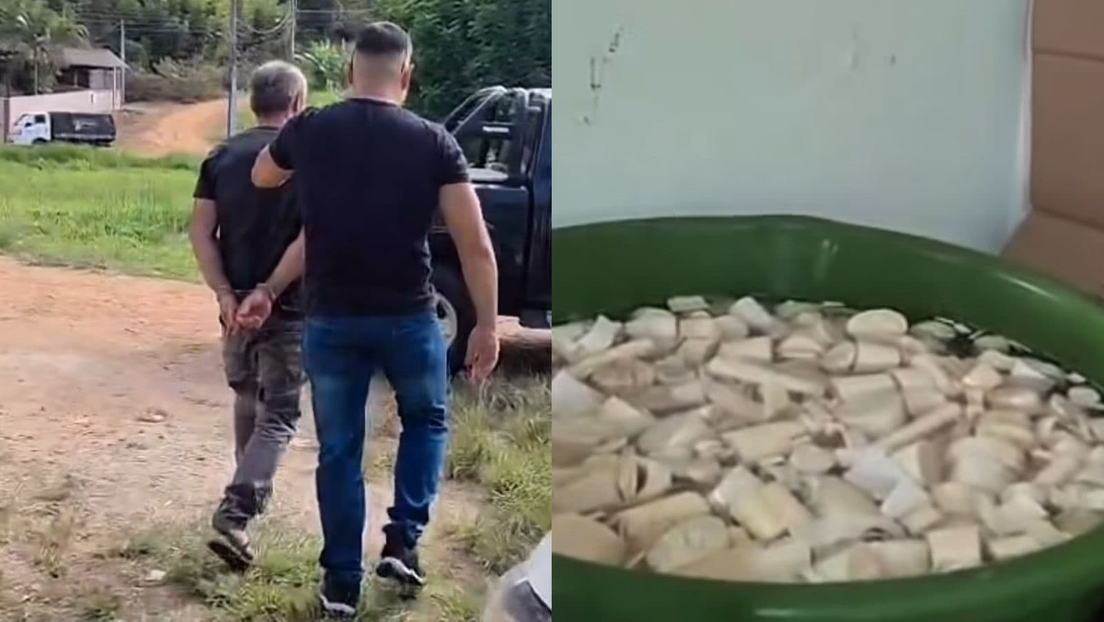 Polícia acha baratas, água suja e palmito sem rótulo em fábrica clandestina em SC