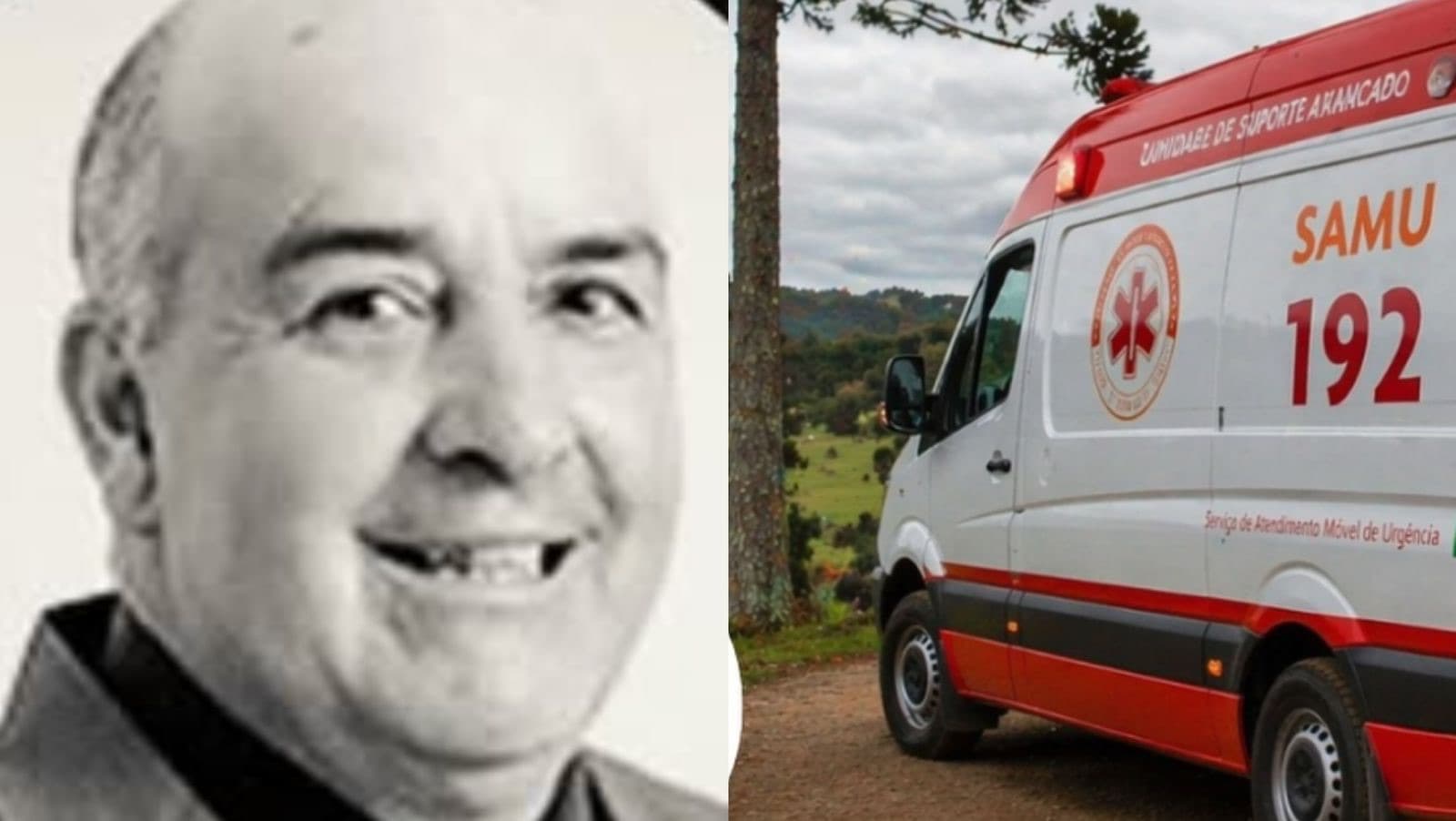 Vereador de cidade catarinense morre ao despencar de pinheiro enquanto colhia pinhão