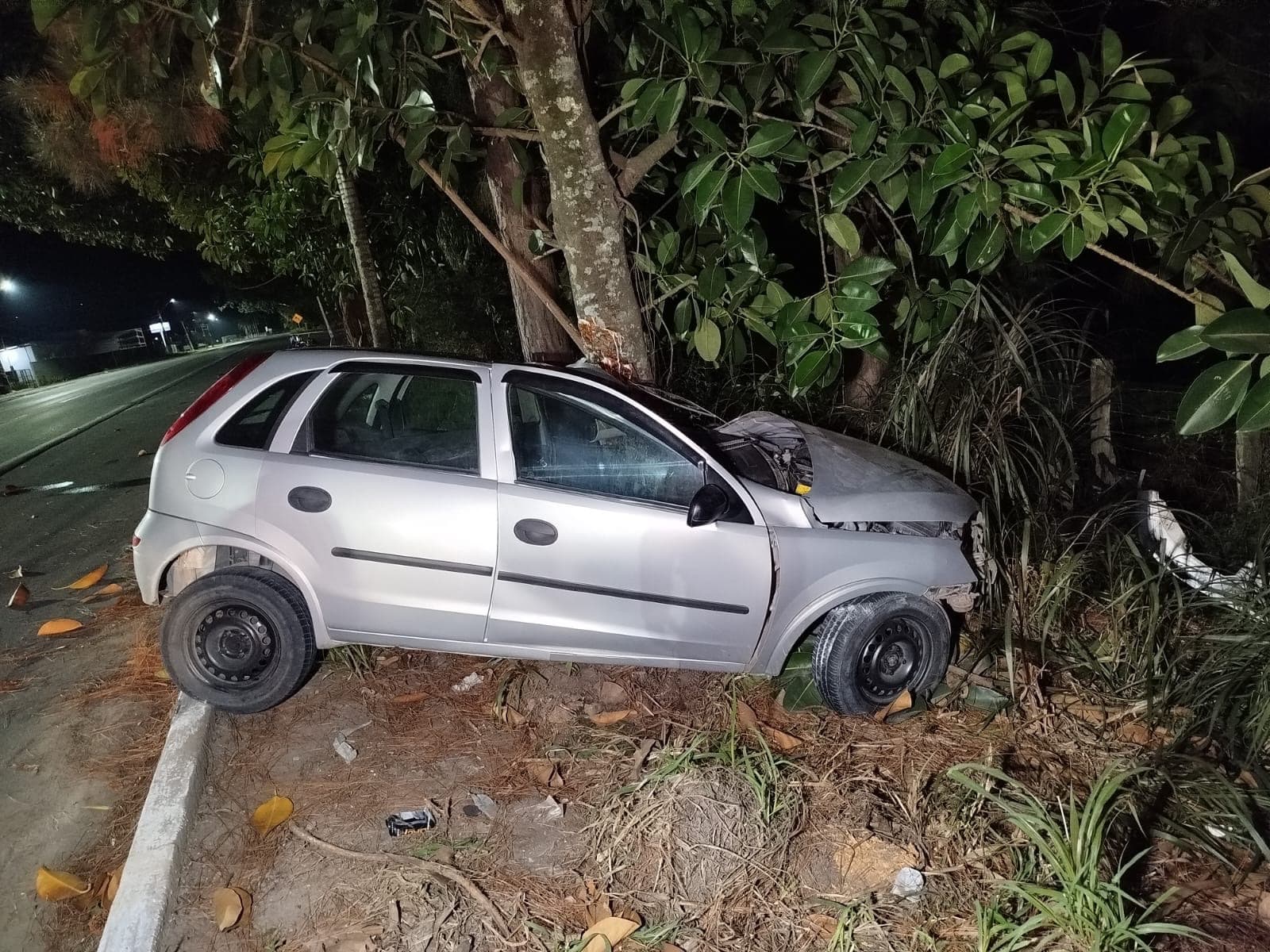 Acidente envolvendo árvore SC-350 deixa motorista encarcerado dentro de carro