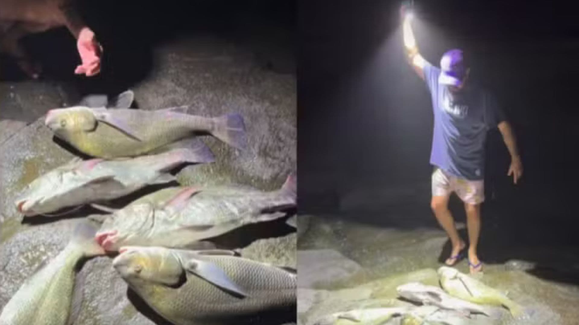 “Vou ensinar os macetes”: influenciador de SC grava peixes em extinção sufocando e é multado em R$ 60 mil