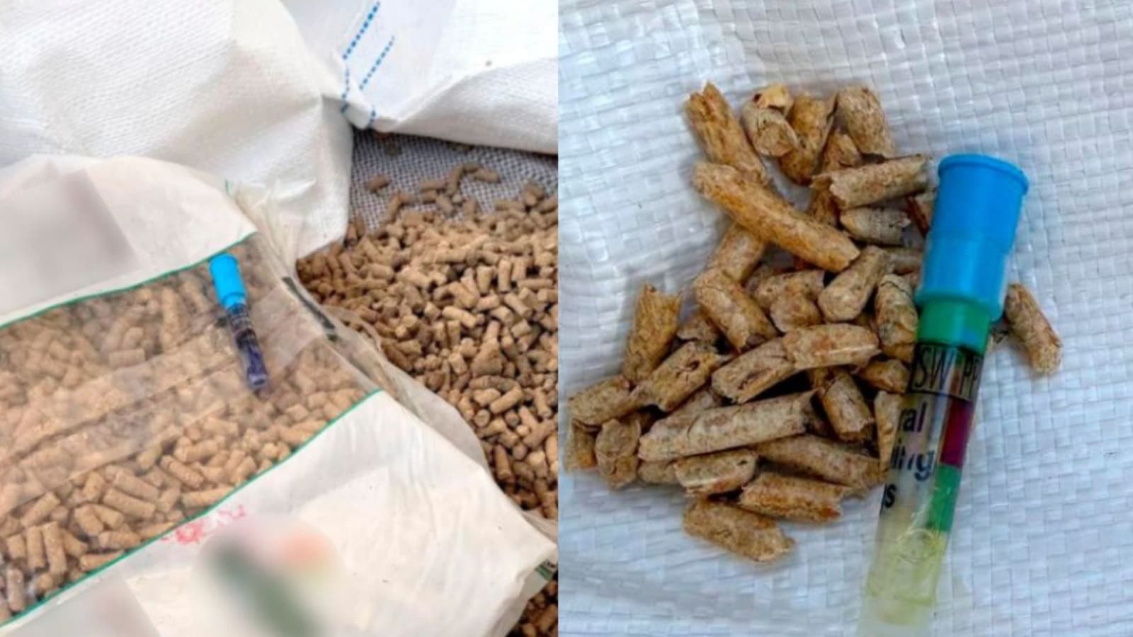 “Cocaína camuflada”: Receita Federal descobre 1,6 tonelada de droga escondida em pellets de madeira em Porto de SC
