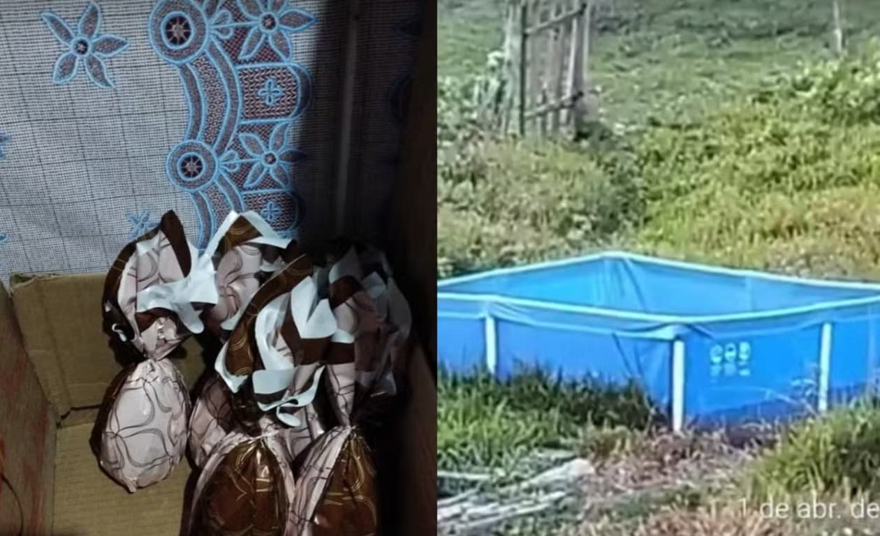 “Ovos de Páscoa e piscina”: polícia prende pedófilo que aliciava crianças e adolescentes em SC