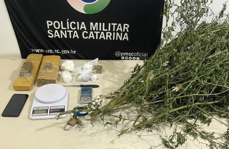“Viu a viatura e correu”: homem que plantava maconha na frente de casa é preso em SC