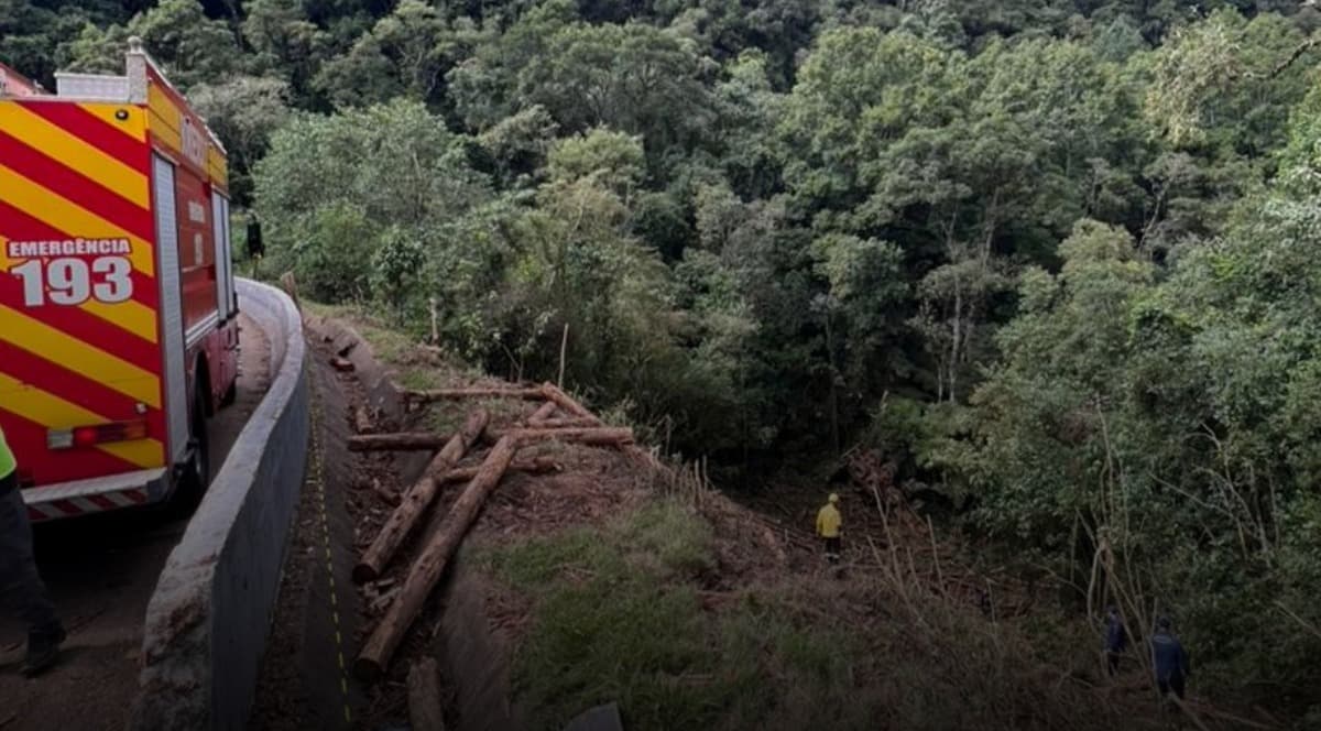 “Até cães de busca foram acionados”: motorista sobrevive após carreta cair em ribanceira de 50 metros em SC