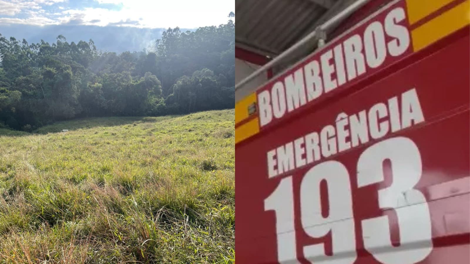 “Desespero no campo”: trabalhador se joga de trator sem freio e é atropelado pelo próprio maquinário em SC