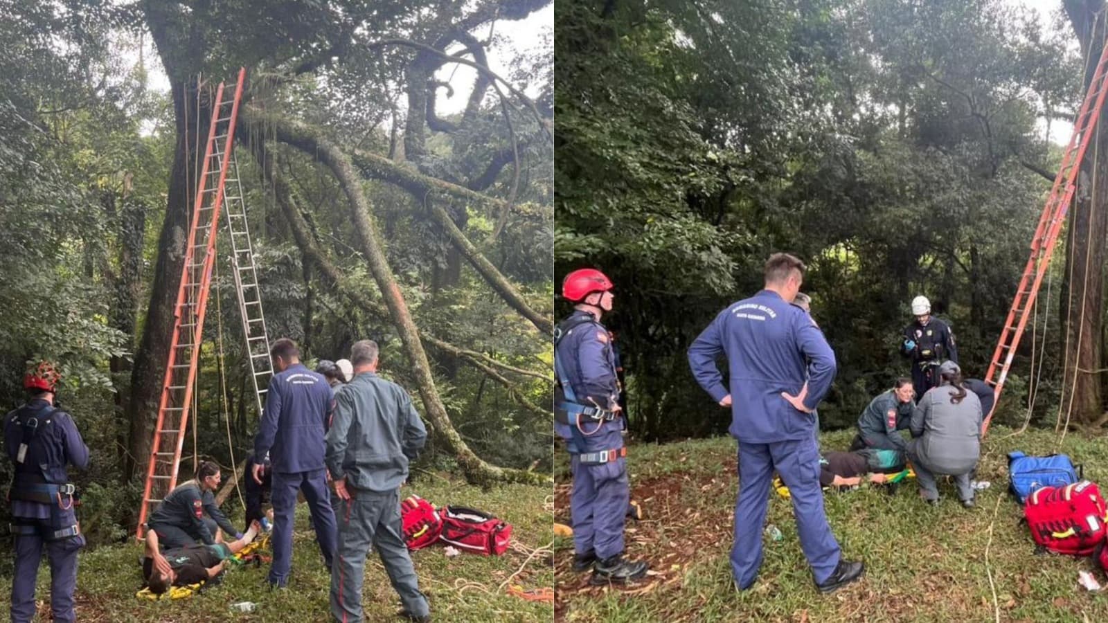 Homem tem pernas esmagadas após queda de árvore e é resgatado de helicóptero em SC