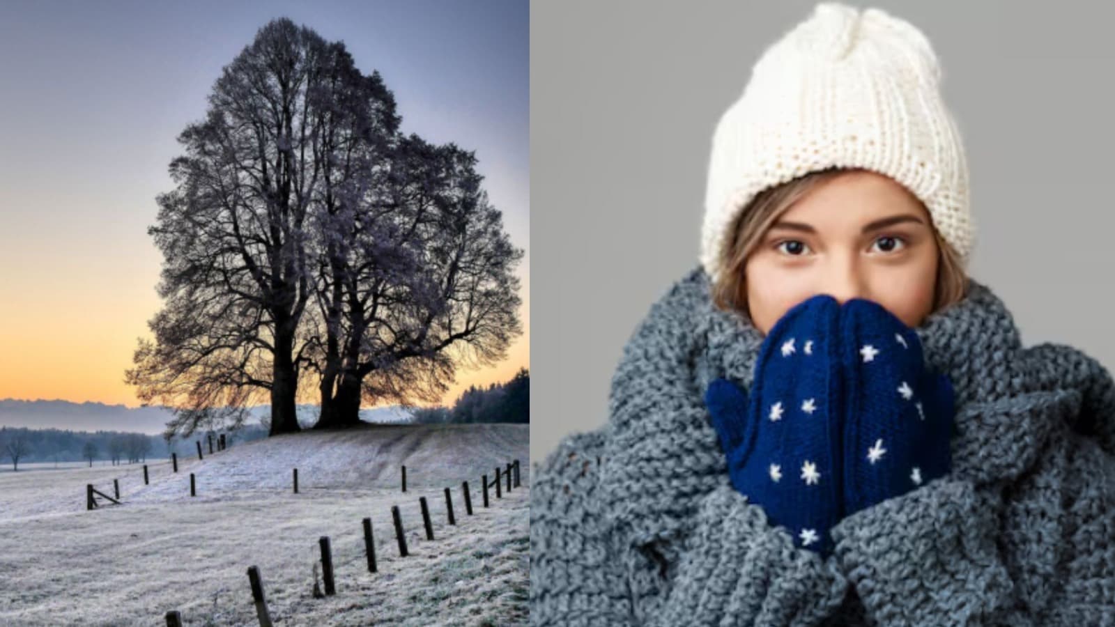 Frio de até 5°C derruba temperaturas e pode trazer geada para SC