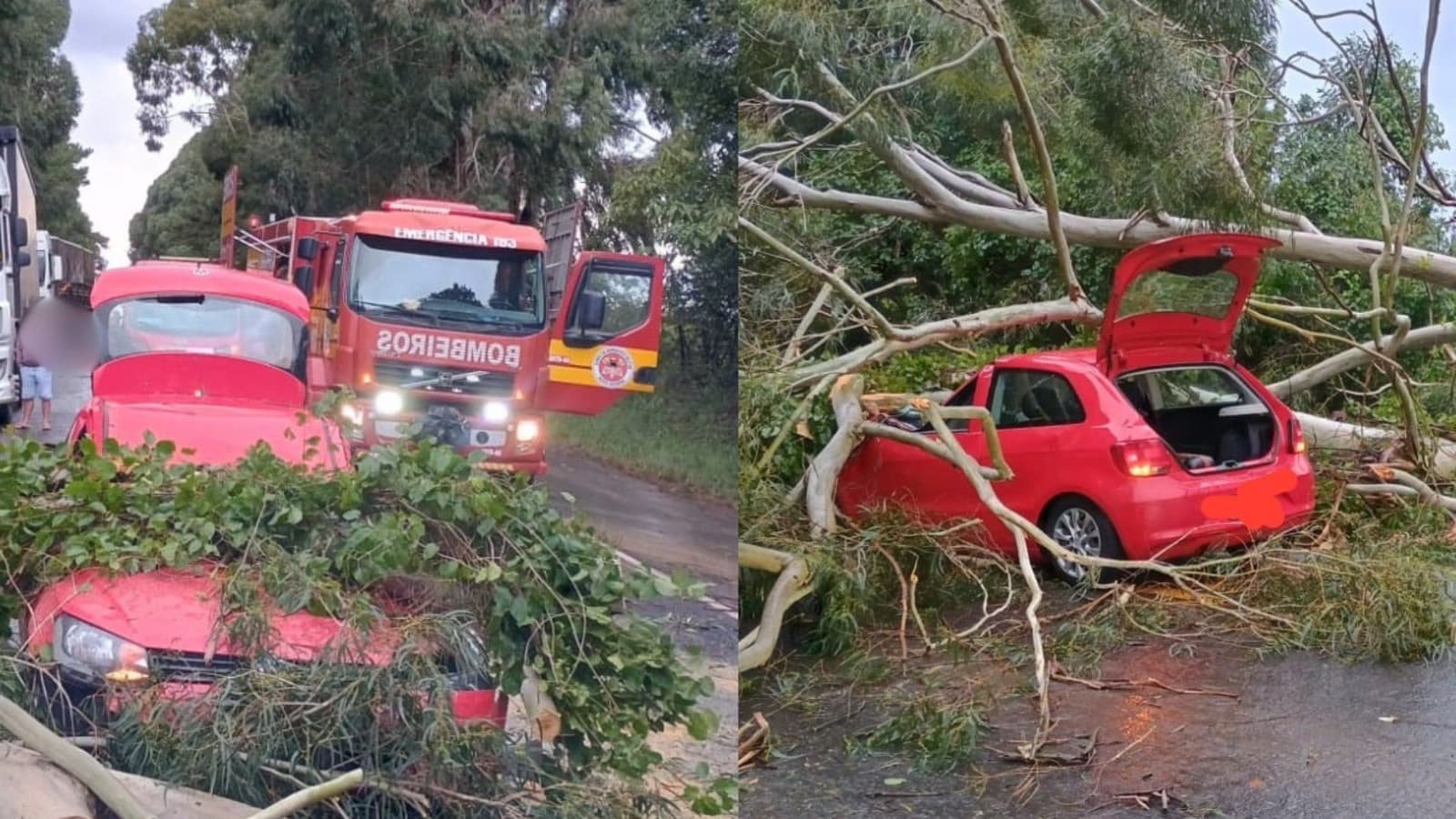 “Que susto”: árvore cai sobre carro em movimento e bloqueia rodovia em SC