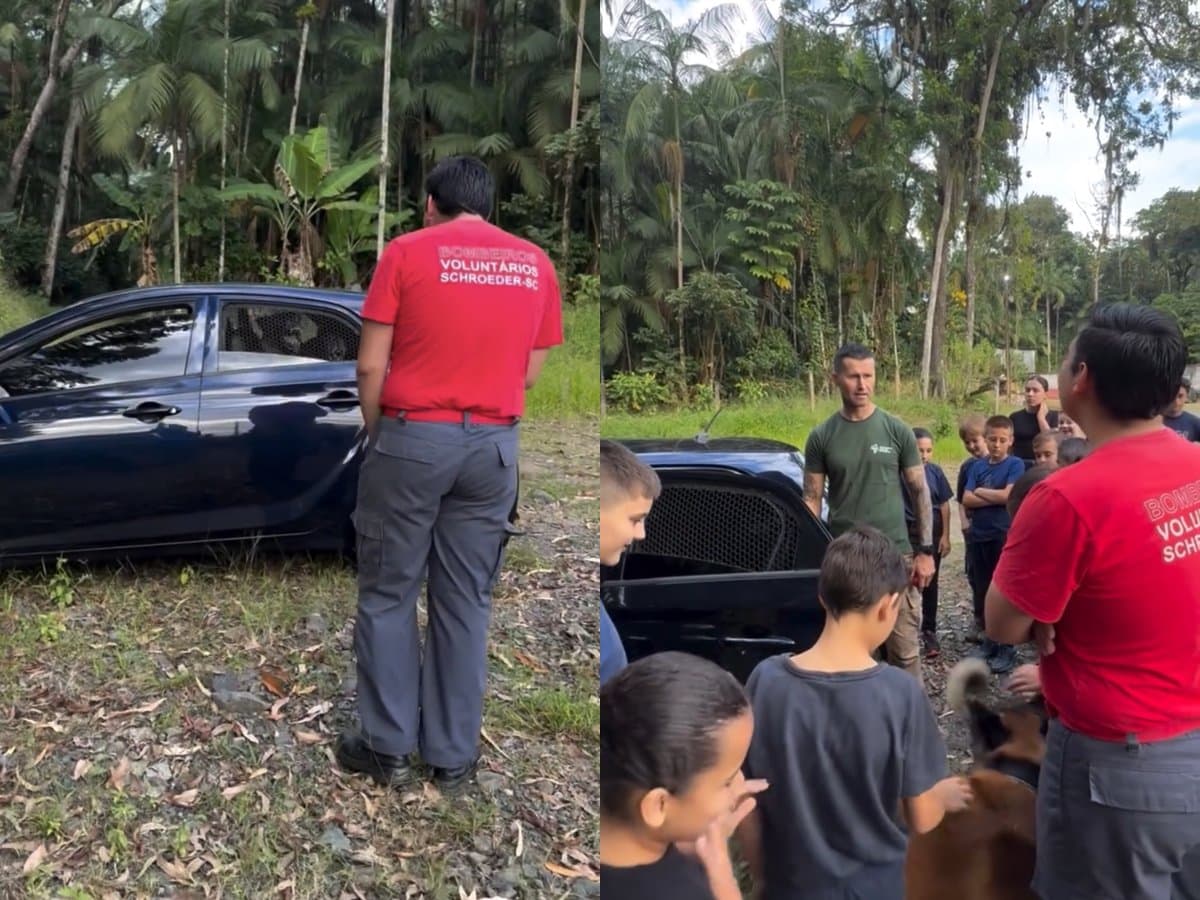 “Poder do adestramento”: cães policiais surpreendem alunos em demonstração de comportamento em SC