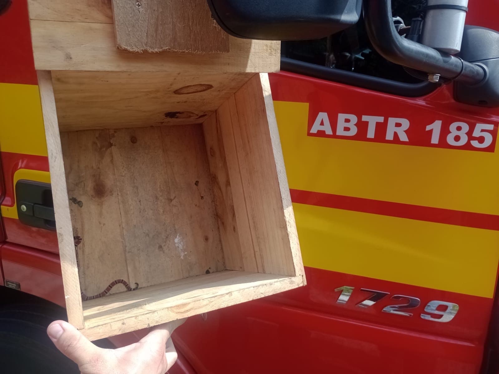 Cobra-coral é capturada dentro de casa no bairro Bela Vista, em São José