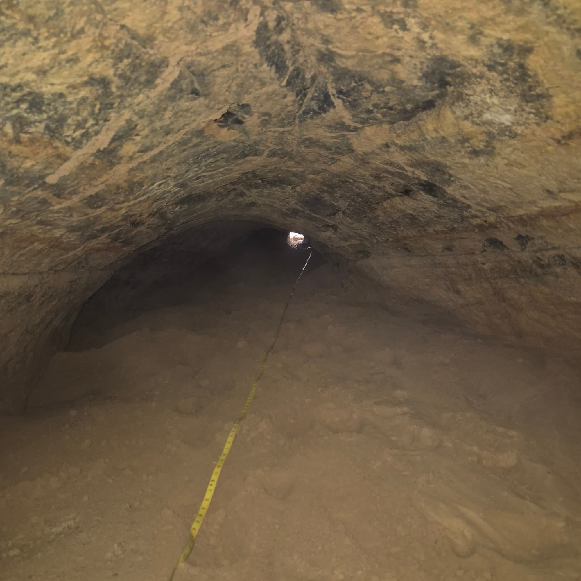 Tatu gigante pré-histórico deixou túnel de quase 26 metros enterrado no Sul de SC