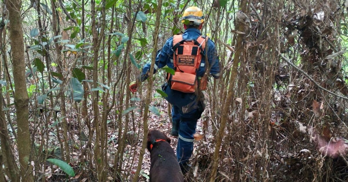 Cão farejador encontra homem desaparecido há 10 dias morto em mata no Sul de SC