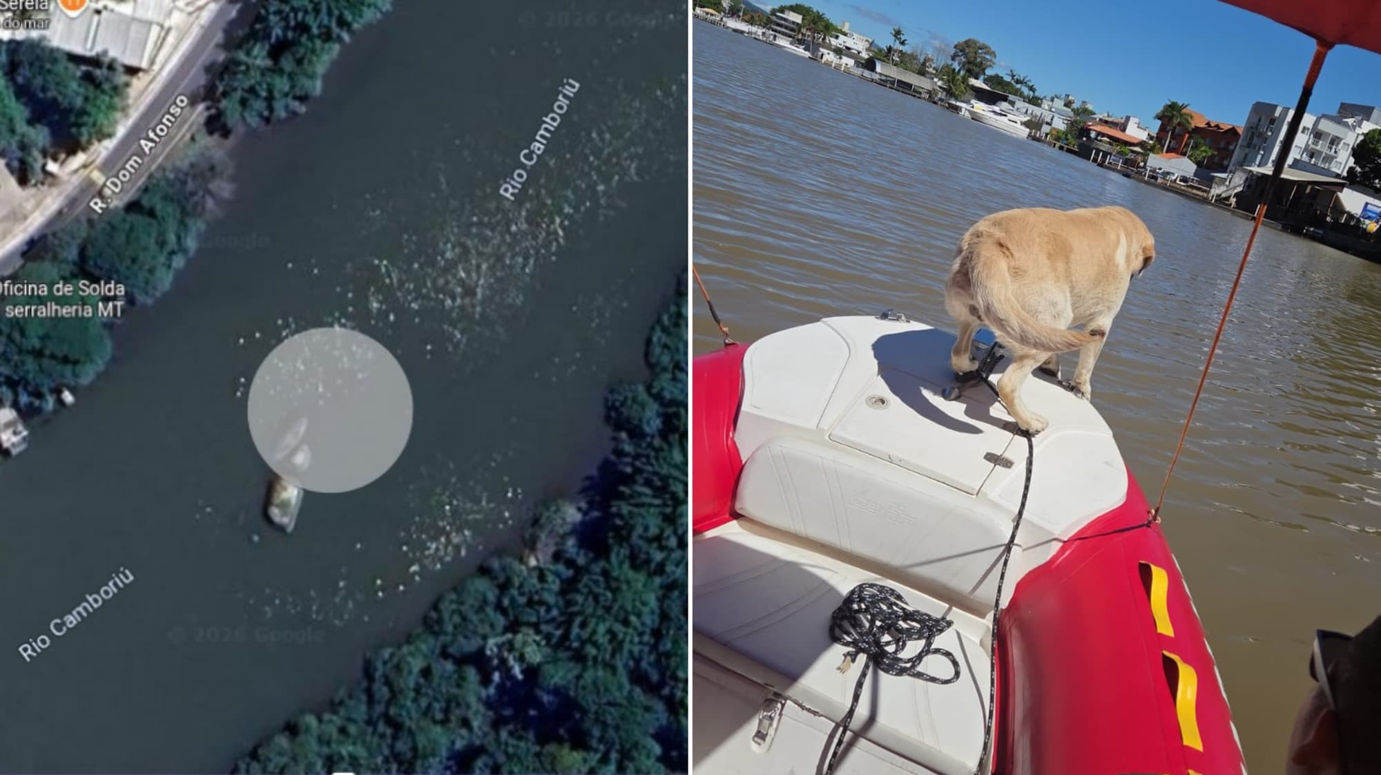 Cão fareja e bombeiros encontram corpo de homem desaparecido há dois dias no Rio Camboriú