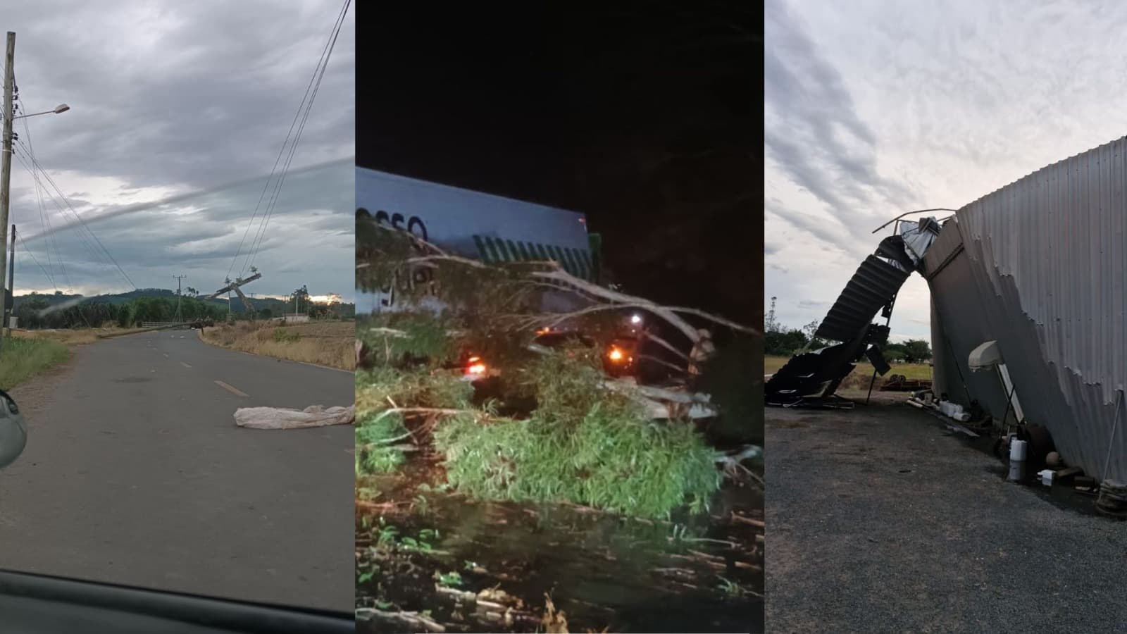 Ventos fortes causam destelhamentos e queda de árvores em SC