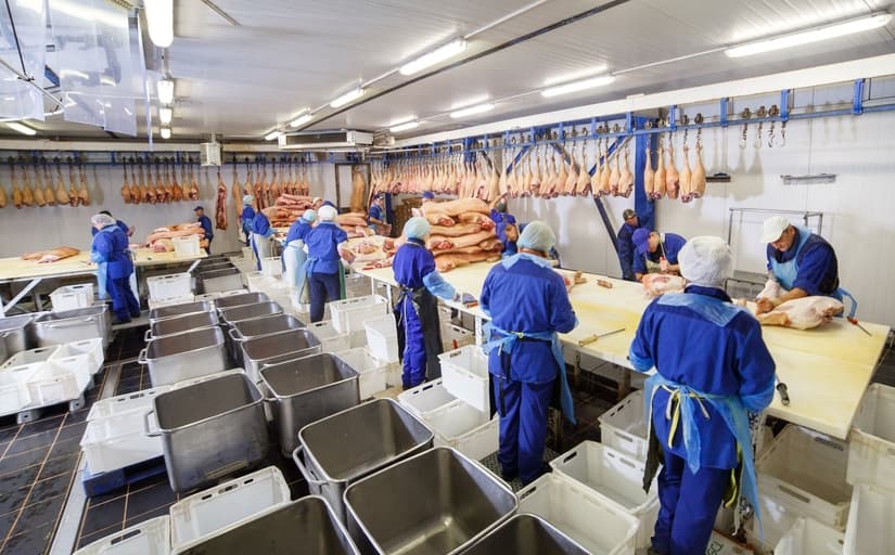 Chamada de “porcona” e alvo de alimentos arremessados: trabalhadora de frigorífico será indenizada em SC