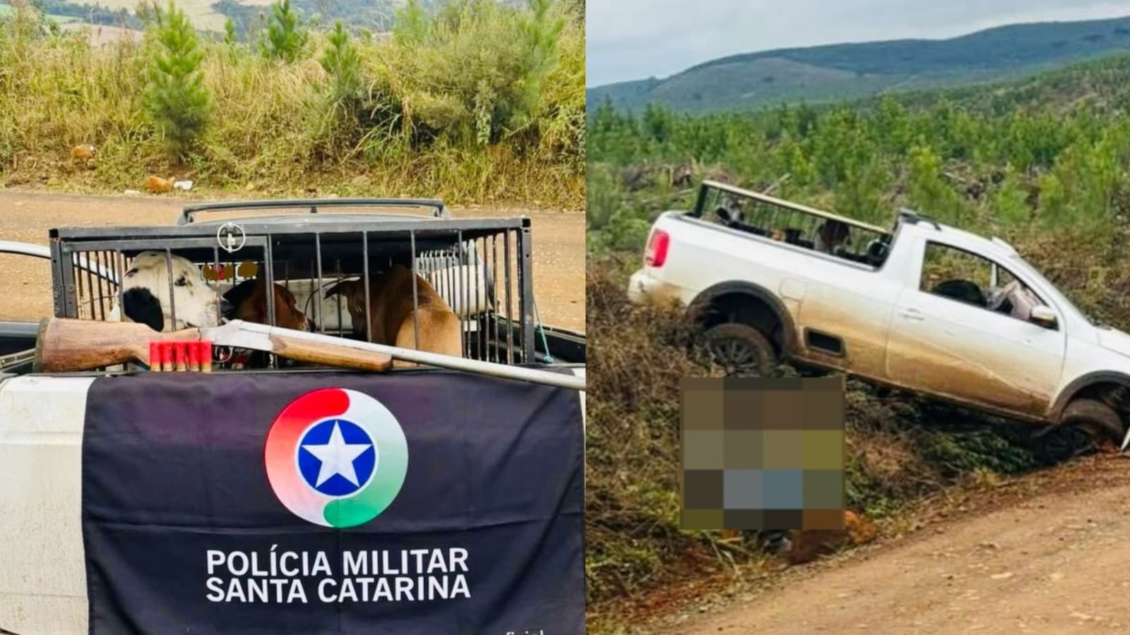 Fuga termina em batida contra barranco e prisão por posse de arma em SC