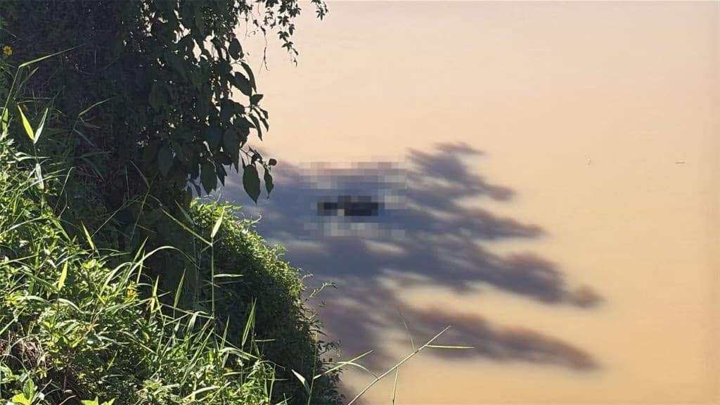 Corpo de homem é encontrado boiando no rio Itajaí-Mirim, em Brusque