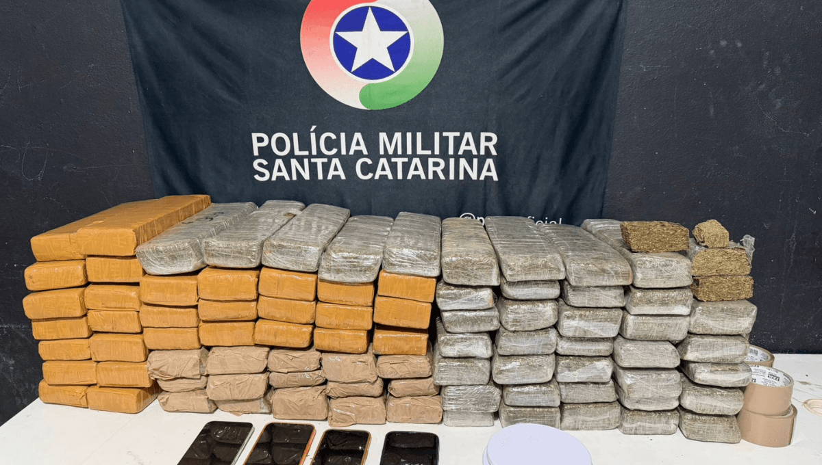 Operação da PM apreende 74 quilos de maconha e prende quatro pessoas em Barra Velha
