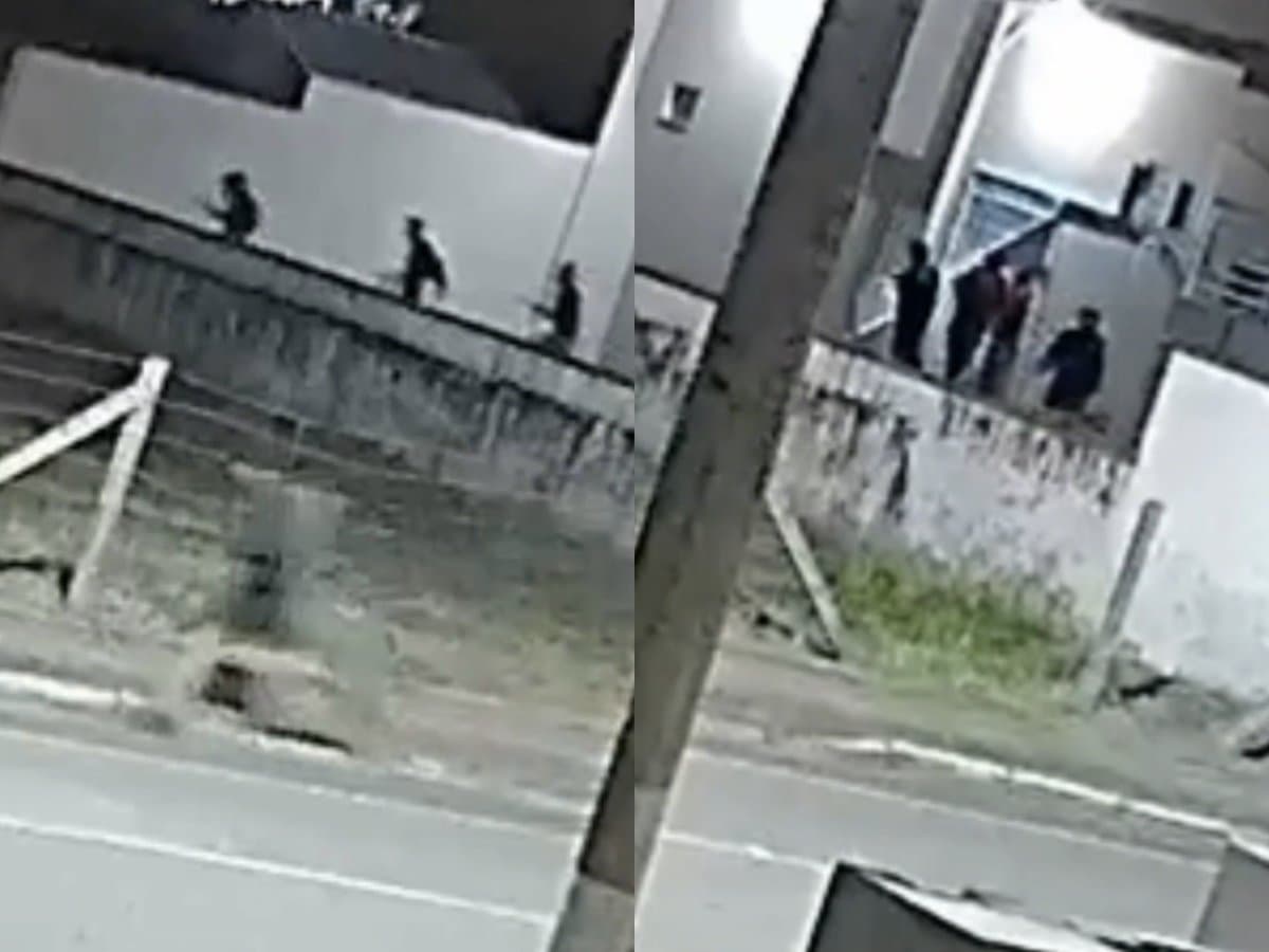 “Vão roubar no inferno!”: morador de SC reage à bala ao ver ladrões na loja do vizinho