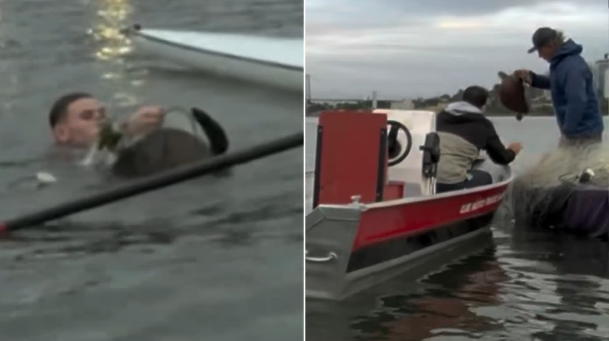 Atletas deixam rivalidade de lado e salvam tartaruga presa em rede em Florianópolis; VÍDEO