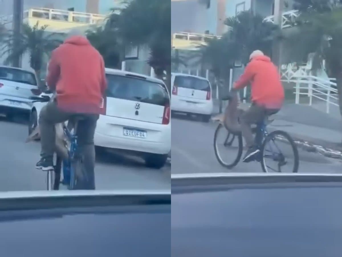 Morador leva “tubarão” de carona na bike e cena inusitada chama atenção no litoral catarinense