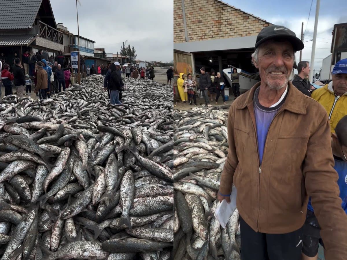“Um mar de peixe”: pescadores comemoram safra de tainha que cobriu praia em Santa Catarina