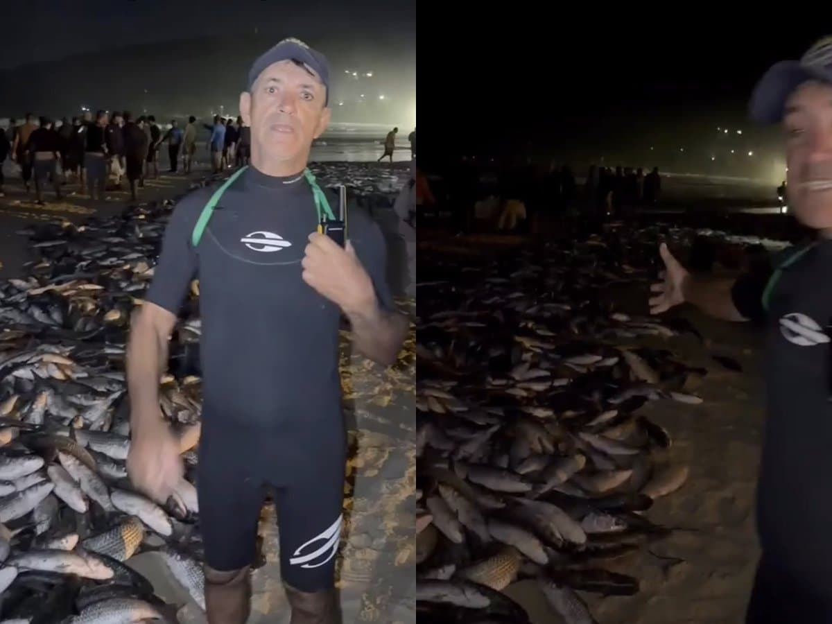 Na melhor safra em 40 anos, pescadores desabafam por falta de comprador de tainha em SC