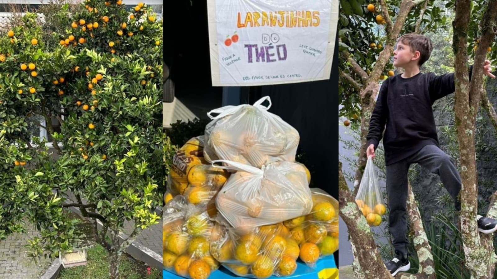 “Todo mundo merece nossas laranjas”: menino de 9 anos dá uma lição de gentileza em SC