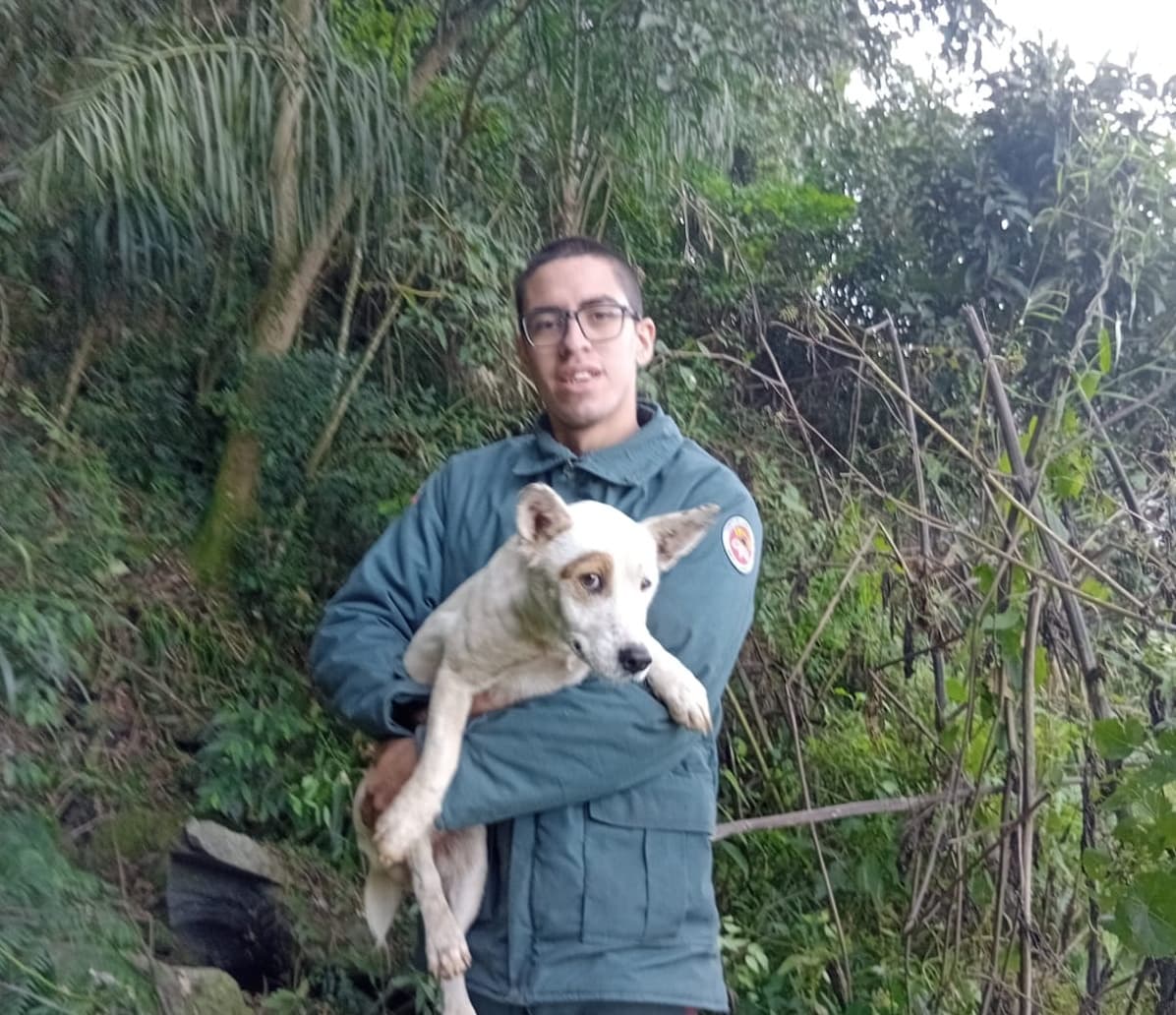 Após quatro dias preso em penhasco de 30 metros, cão é resgatado em SC