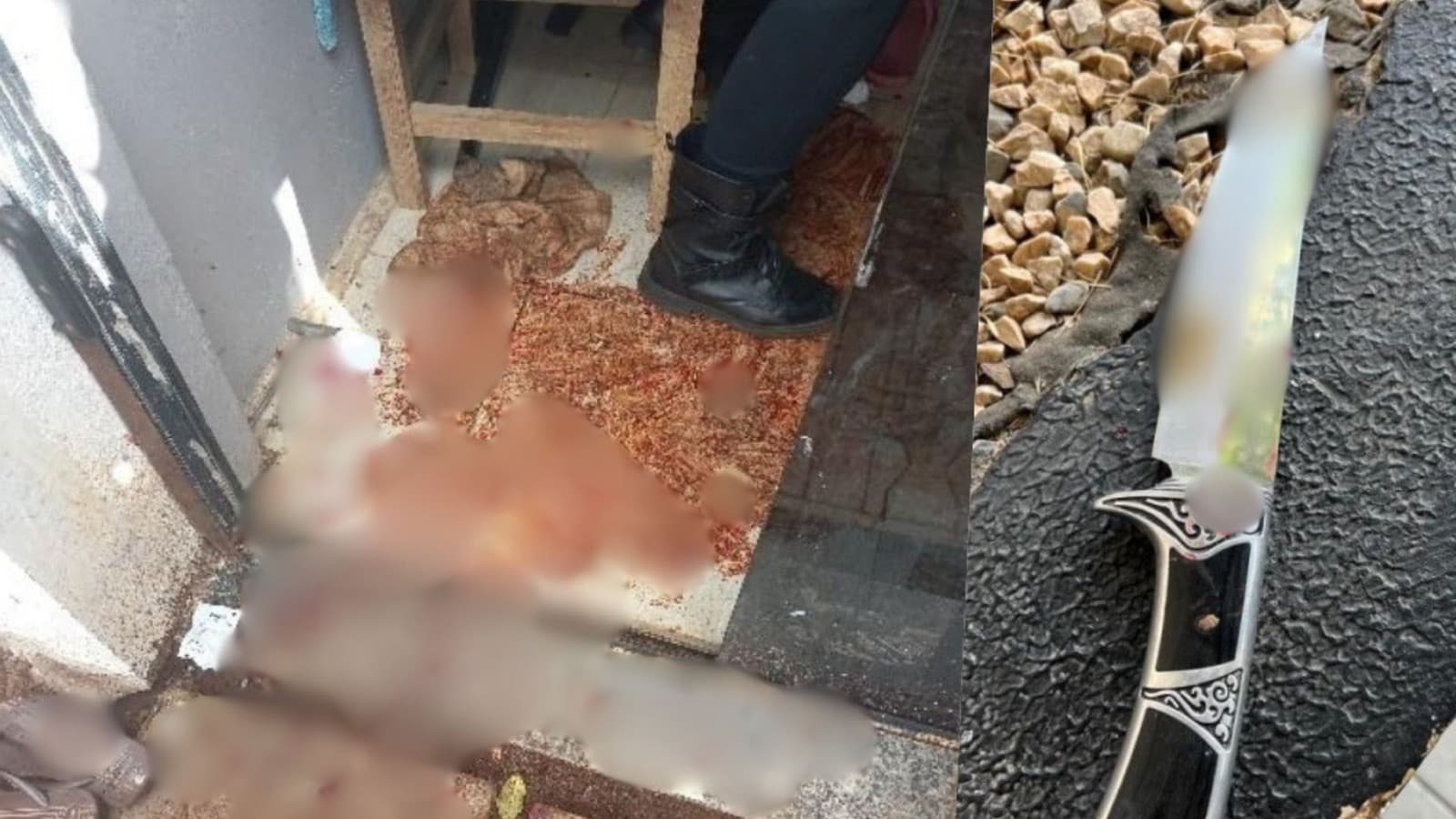 Homem de 55 anos é preso após atacar mulher com golpe de faca em SC