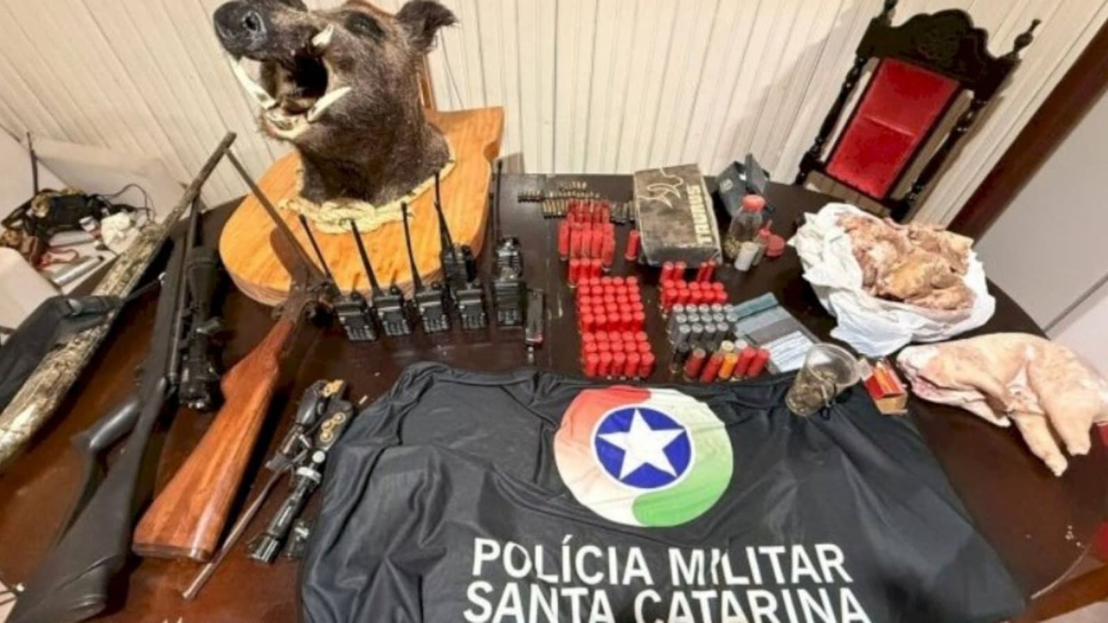 Denúncias derrubam quadrilha de caça clandestina e revelam 105 animais abatidos em freezer em SC