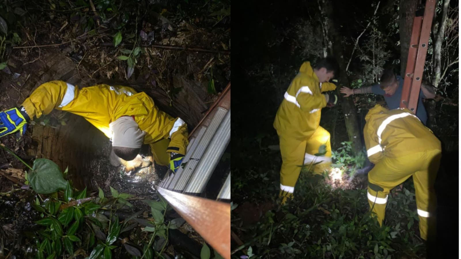 Cachorro cai em poço de quatro metros e é resgatado com hipotermia pelos bombeiros em SC