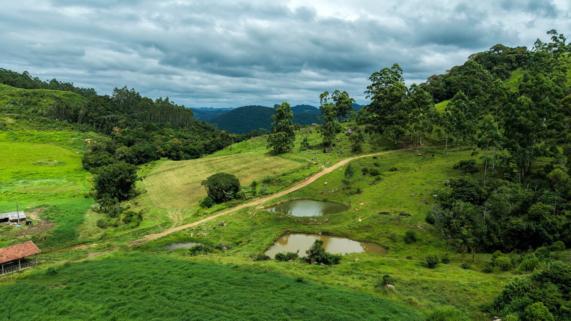 Santa Catarina abre inscrições para programa que paga produtores pela conservação de florestas
