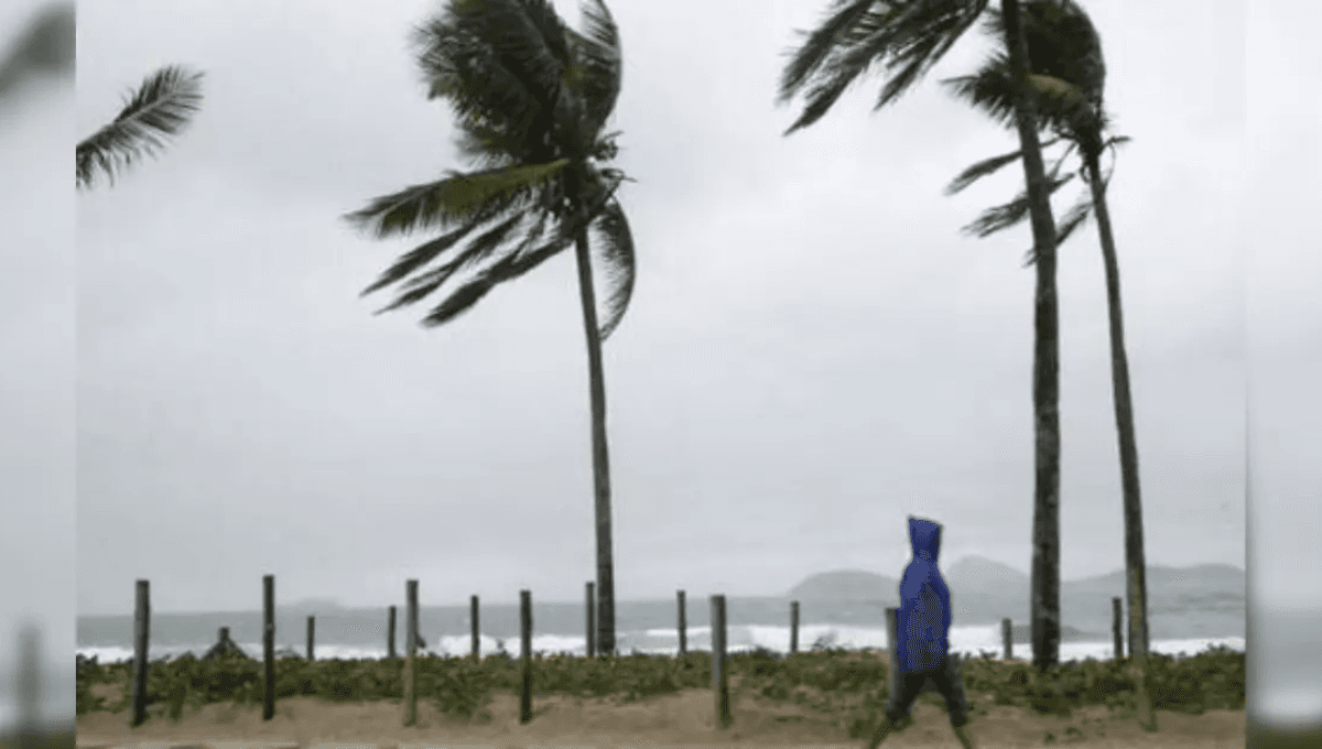 Frente fria avança e coloca Santa Catarina em alerta para temporais e frio intenso