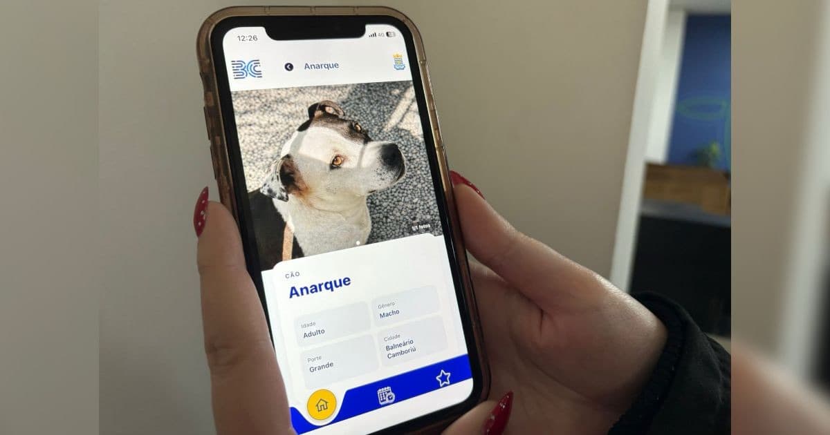 BC Pet reúne 55 cães e gatos à espera de um novo lar em Balneário Camboriú