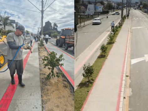 Com alerta para eventos extremos em Santa Catarina, Tijucas reforça ações de prevenção e arborização