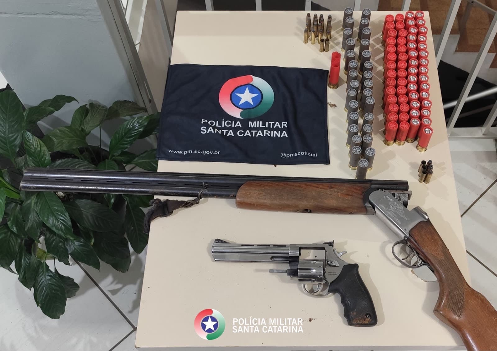 Ataque a tiros termina com cachorro morto e armas apreendidas em Santa Catarina
