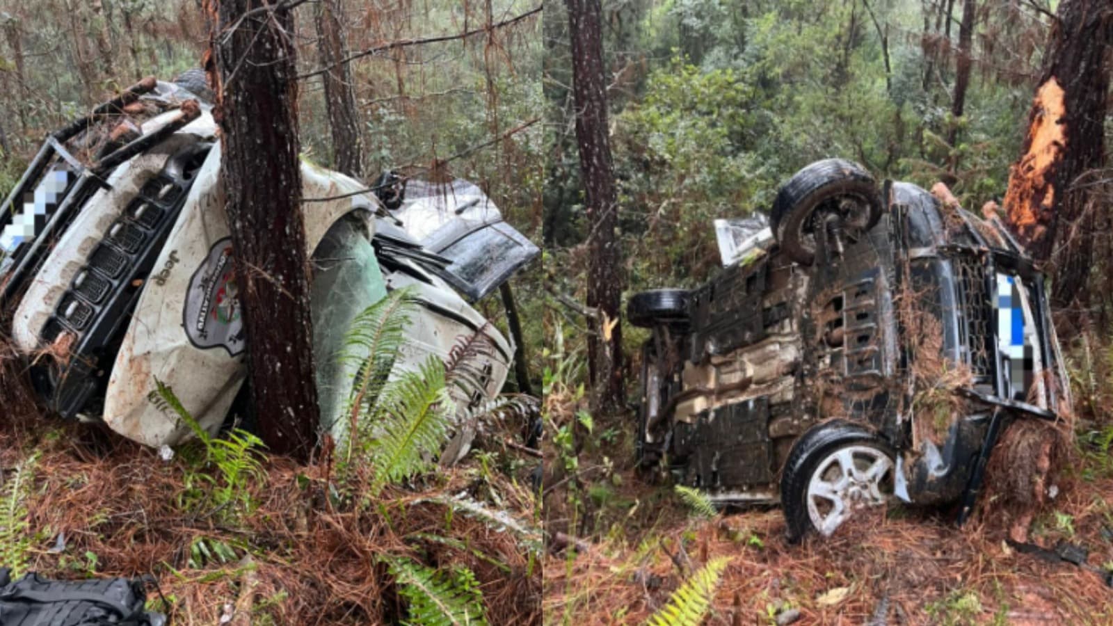 Viatura do Dease despenca em ribanceira e fica destruída após capotamento na BR-282, em SC