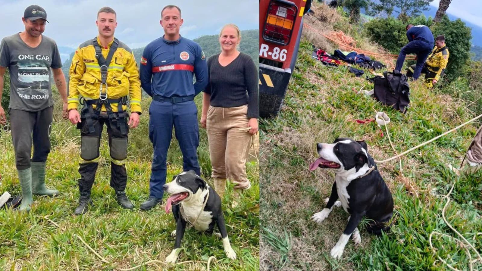 Agitado e exausto: bombeiros resgatam cachorro à beira de penhasco em SC