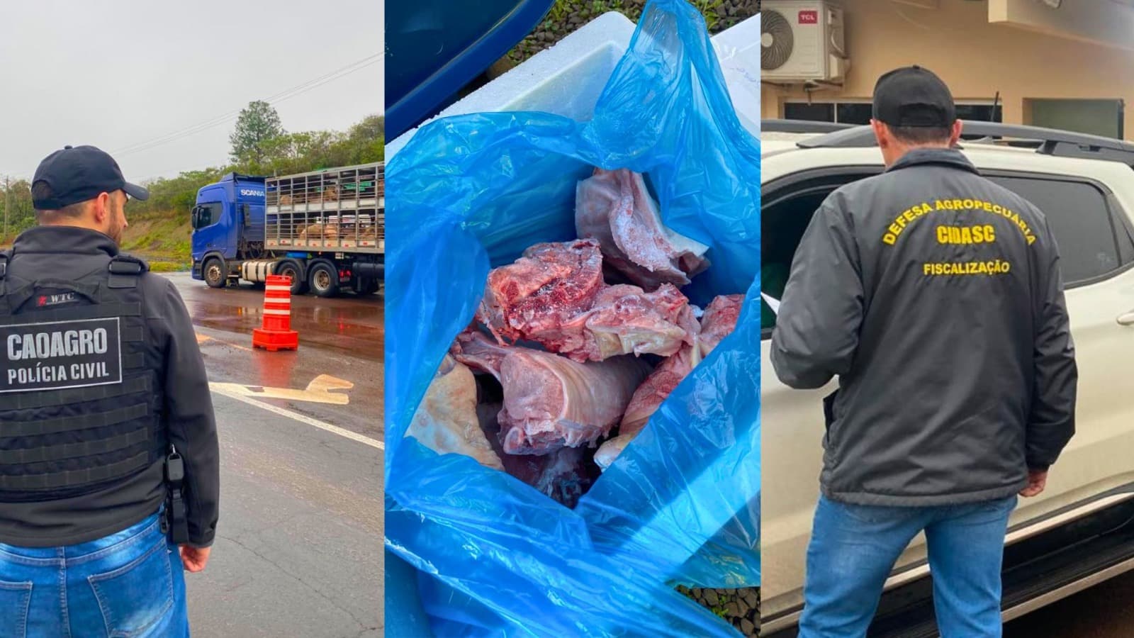 Operação flagra carne suína sem origem e aves irregulares em barreiras no Oeste de SC