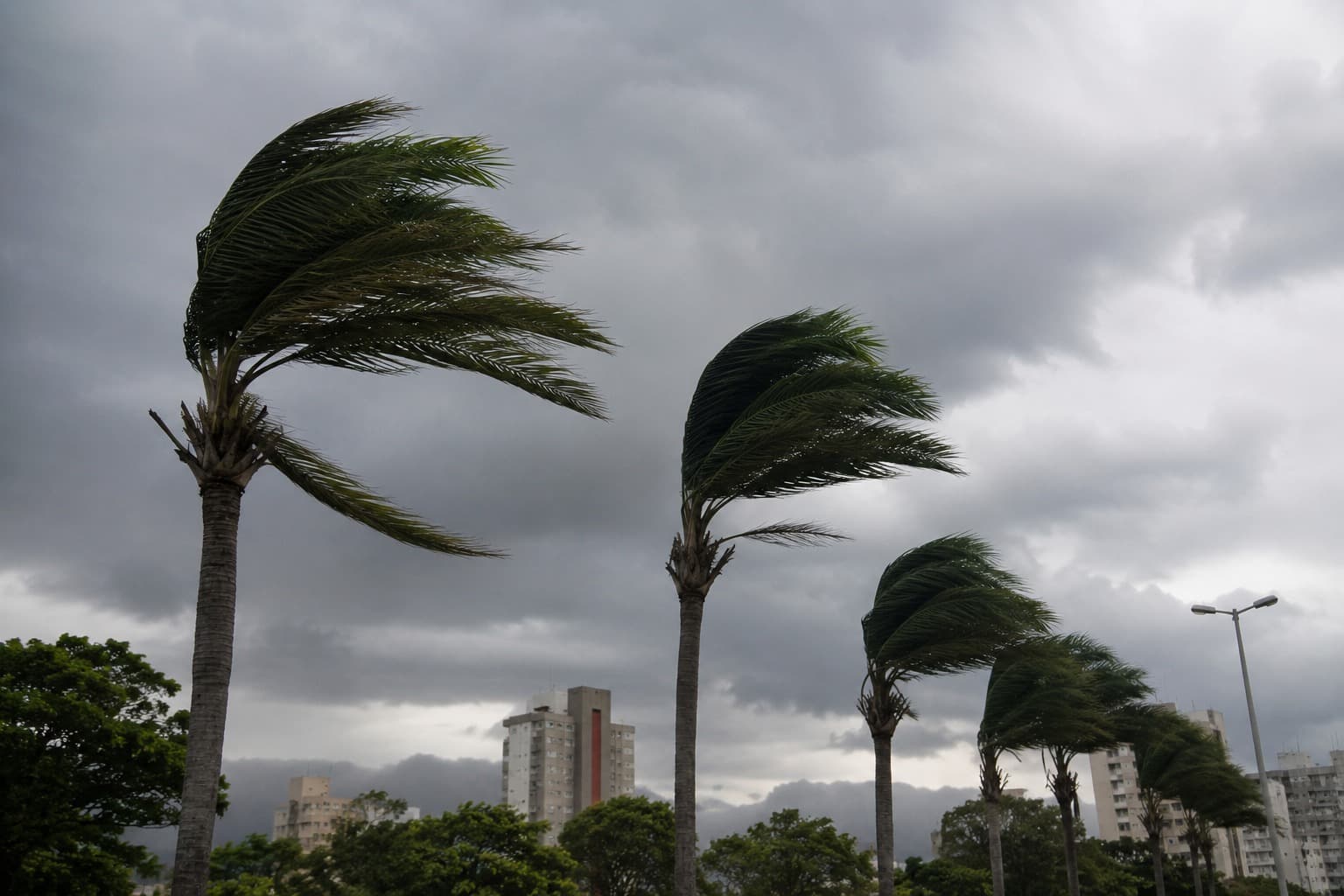 Vento de até 60 km/h coloca 821 cidades em alerta do Inmet; Oeste de SC está na lista