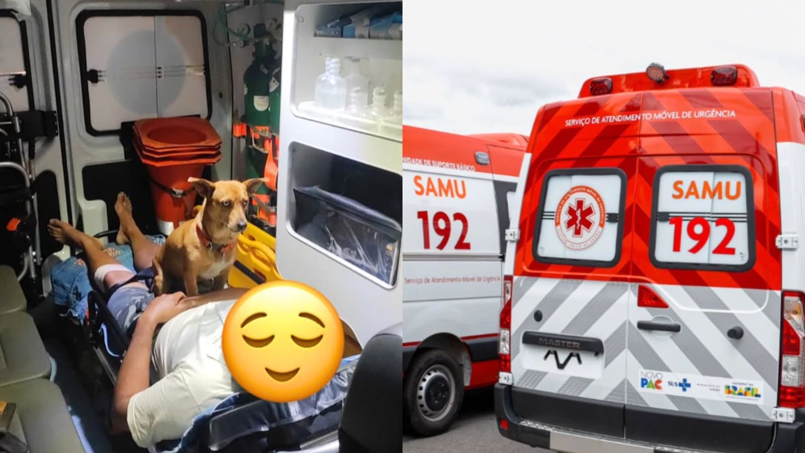 Cachorro não larga tutor durante atendimento do SAMU e emociona socorristas em SC: “Amor incondicional”