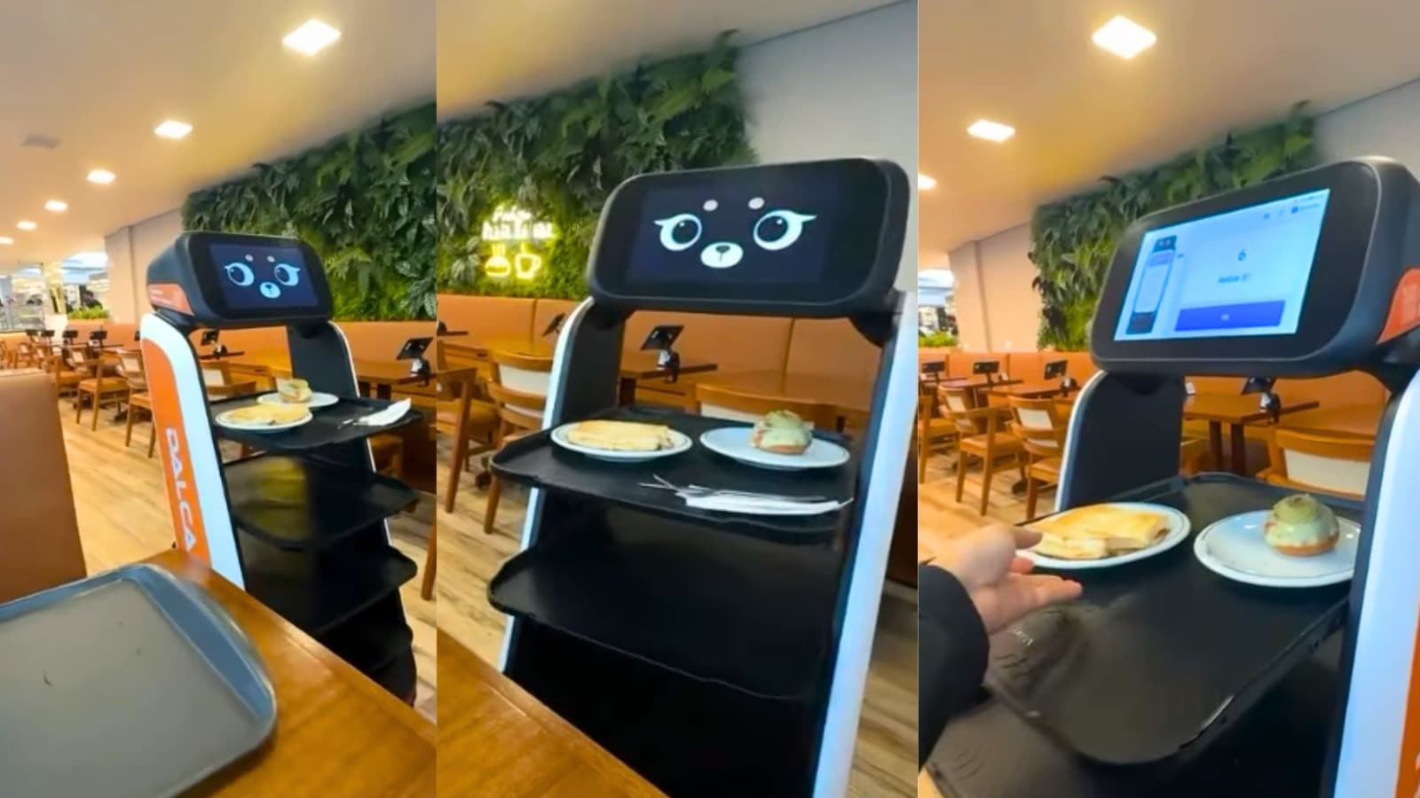 Do cafezinho ao “Parabéns pra Você”: o robô garçom que virou atração na Grande Florianópolis