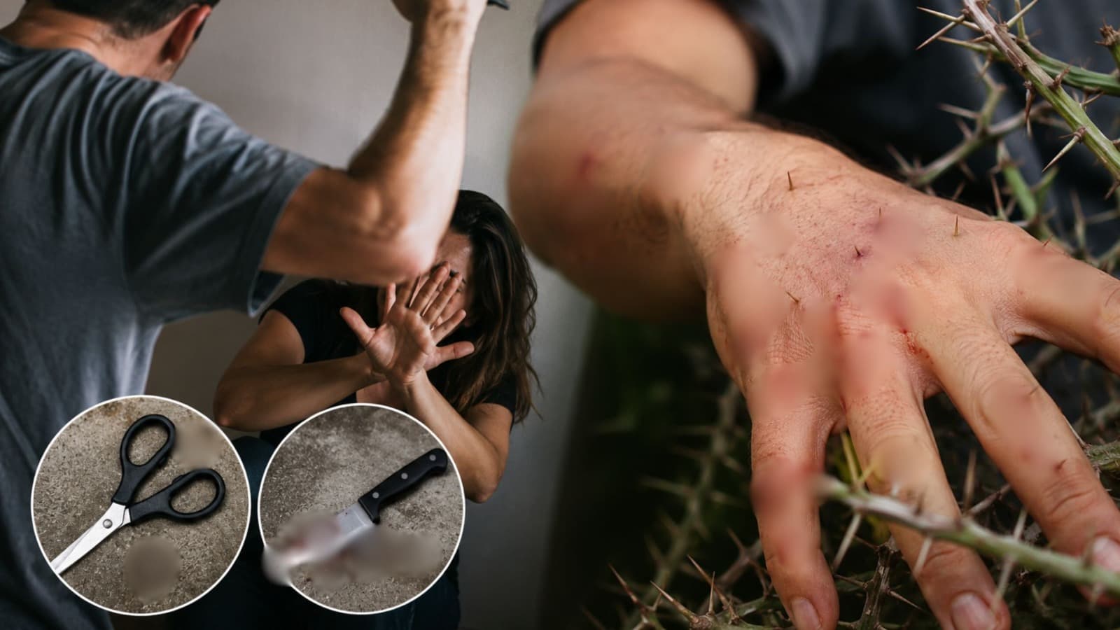 Ataque de fúria em SC: homem usa tesoura e faca contra companheira e acaba ferido por espinhos ao ser desarmado