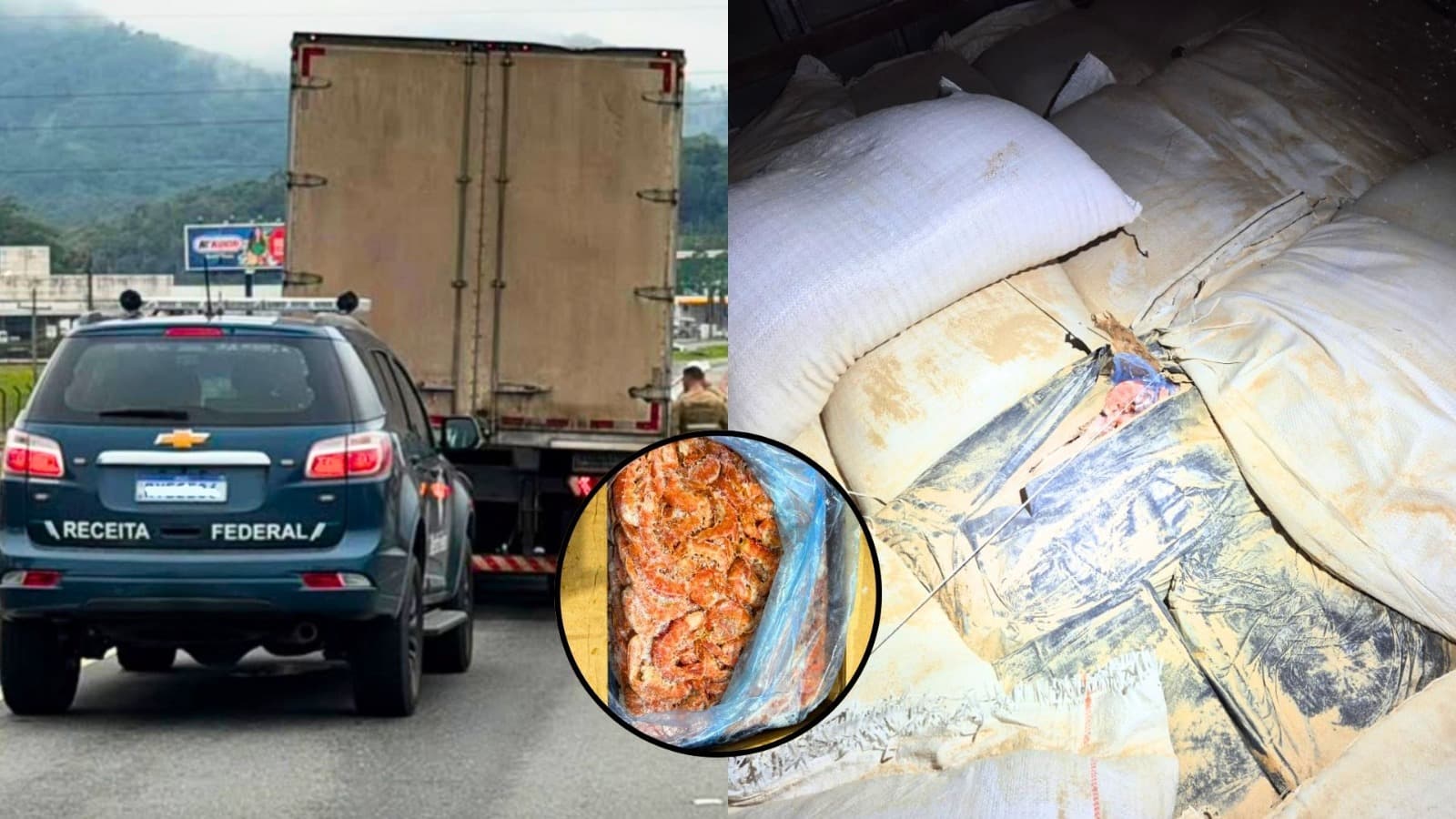 Piratas do crustáceo: Receita Federal e PMRv “melam o molho” de carga clandestina de camarão em SC