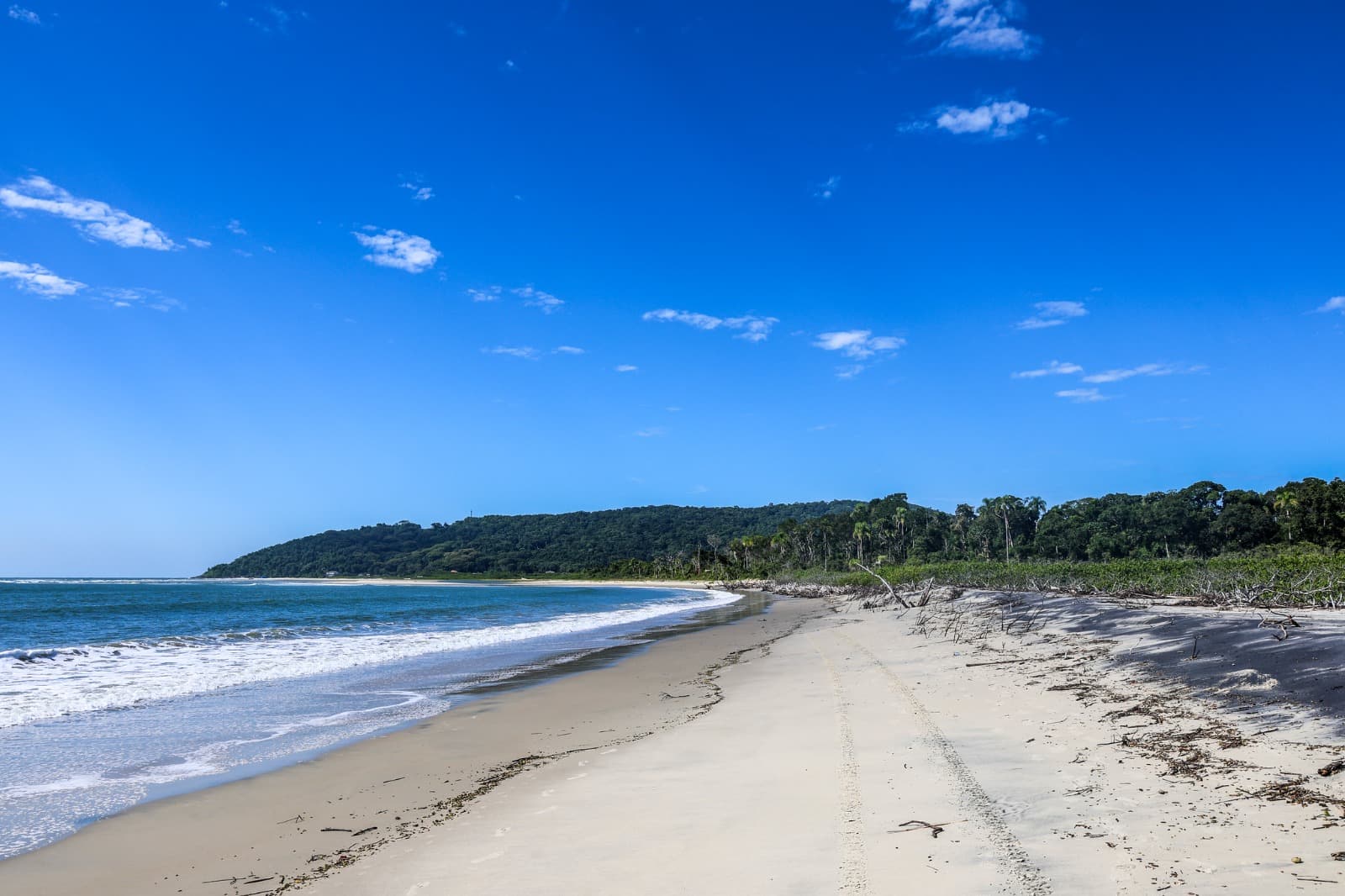 MPSC denuncia empreendedores e consultores por falsidade ideológica em licenciamento de porto em praia de SC