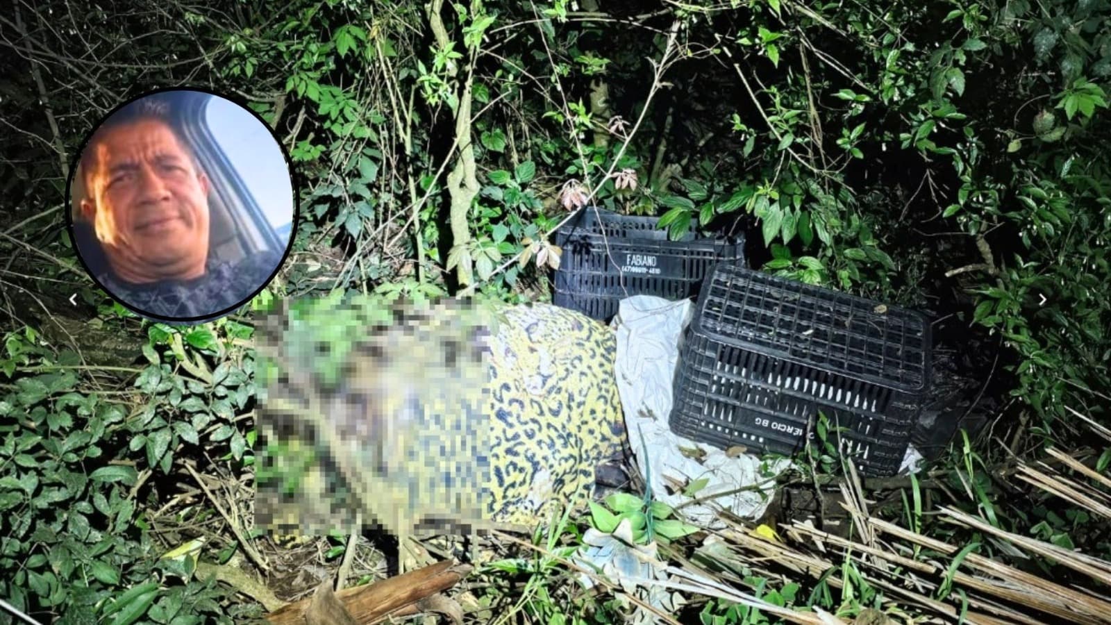 Polícia suspeita que corpo amordaçado no mato seja de venezuelano desaparecido há 20 dias em SC