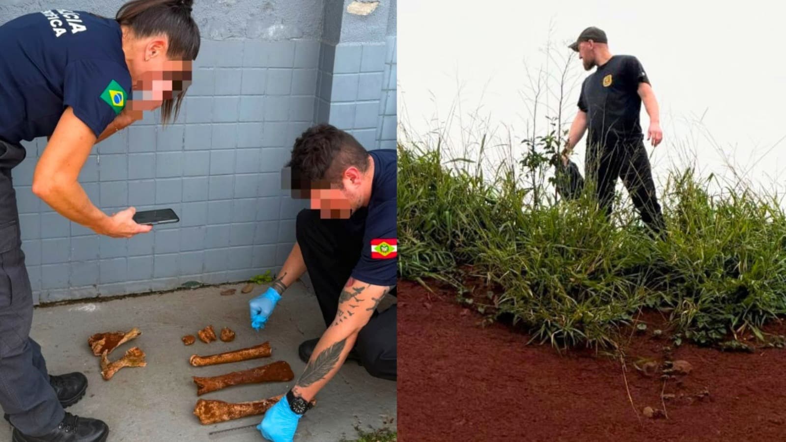 Ossada encontrada em SC levanta suspeita de crime brutal, mas perícia revela o que realmente havia no local